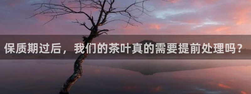 龙八国际app是什么