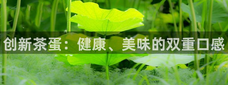 龙八国际pt娱乐