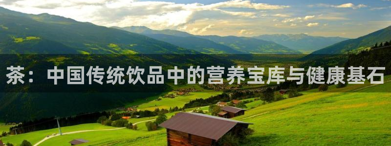 龙八国际手机登录网址