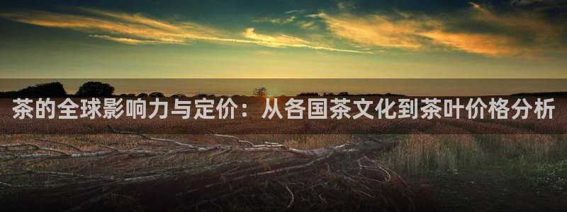 龙八国际娱乐实力如何