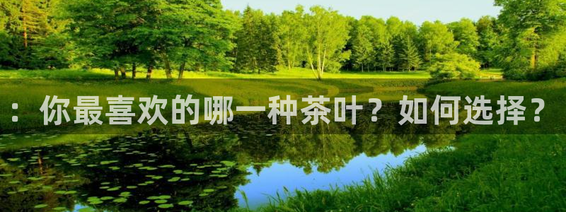 龙八国际苹果版