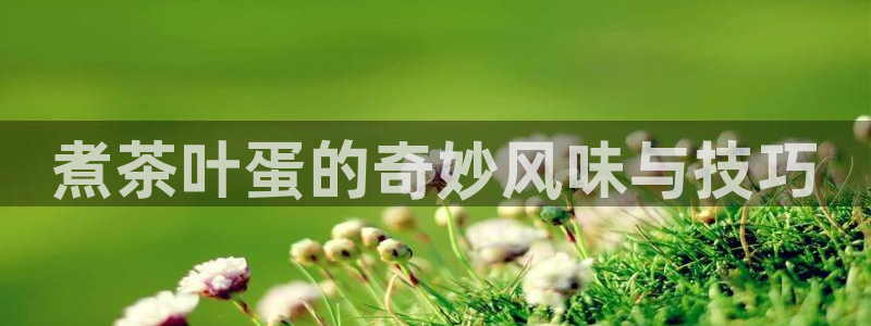 龙八国际下载安装