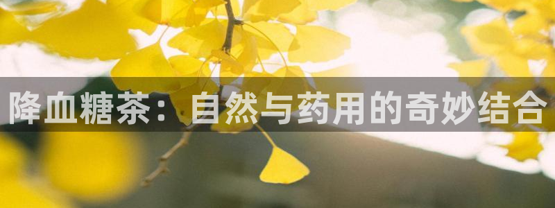 菲律宾的龙八国际