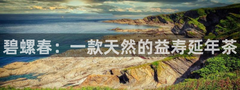 龙八国际娱乐游戏