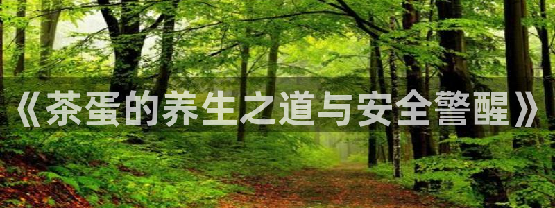 正规龙八国际娱乐