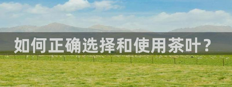 怎么举报龙八国际