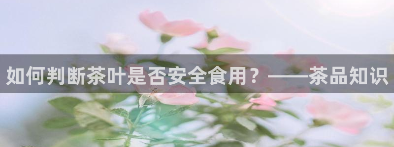 龙八国际手机版下载注册