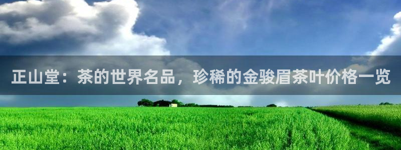 龙八国际是什么