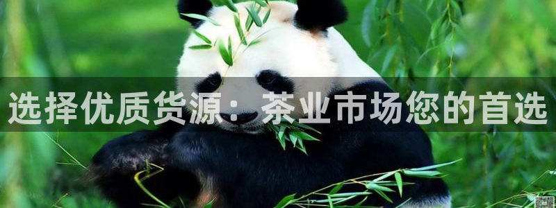 龙八国际官网手机版登录