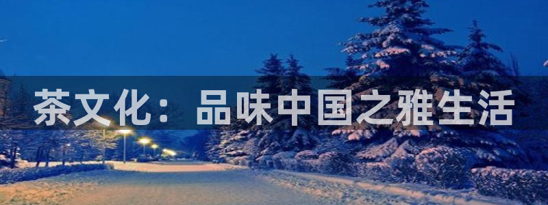 龙八国际新版本