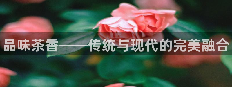 龙八国际是什么