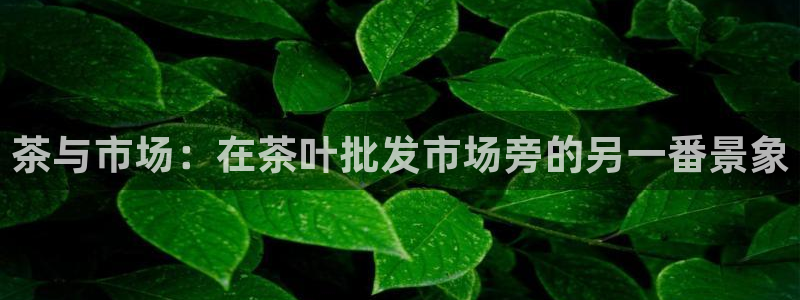 龙八国际官网下载安卓