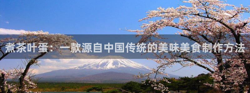 龙八国际彩金购买