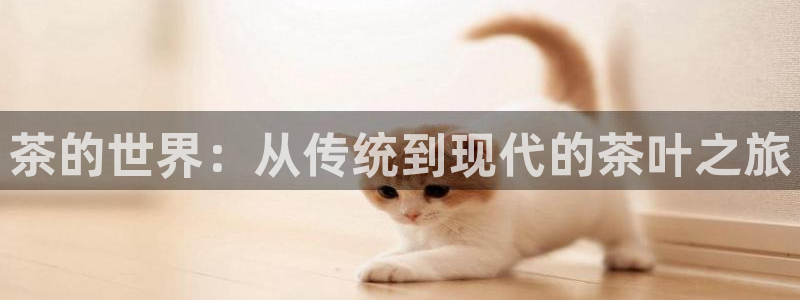 龙八国际手机版下载安卓