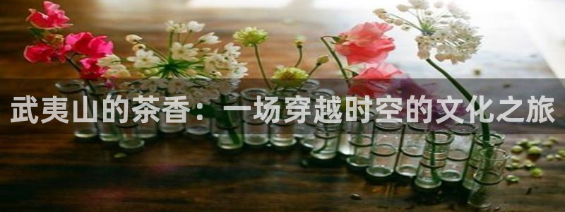 龙八国际app电话号码