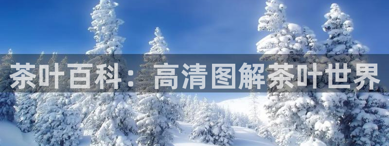 龙八国际手机下载安装