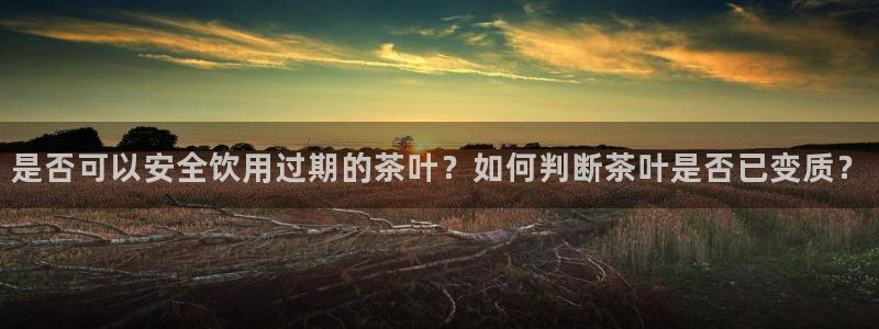 龙八国际app客户下载