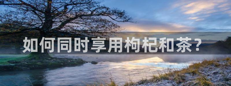 龙八国际网q18点tv