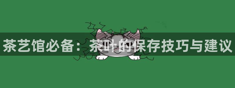 龙八国际是干什么的