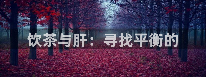 下载龙八国际手机版手游