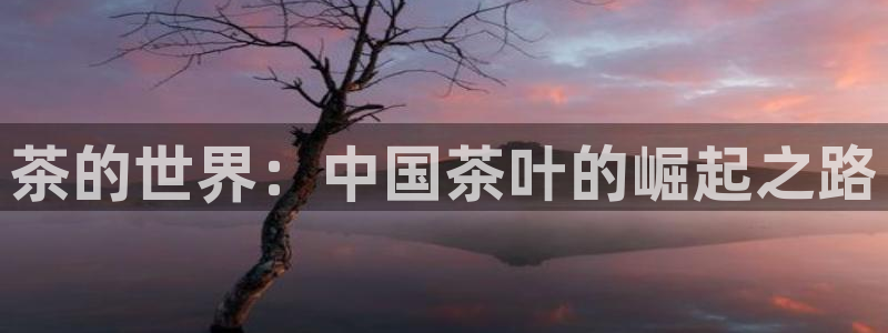 龙八国际怎么注册苹果