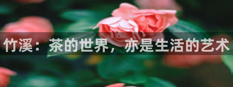 龙八国际app鄂州