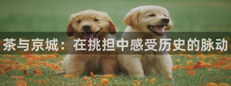 龙八国际软件下载