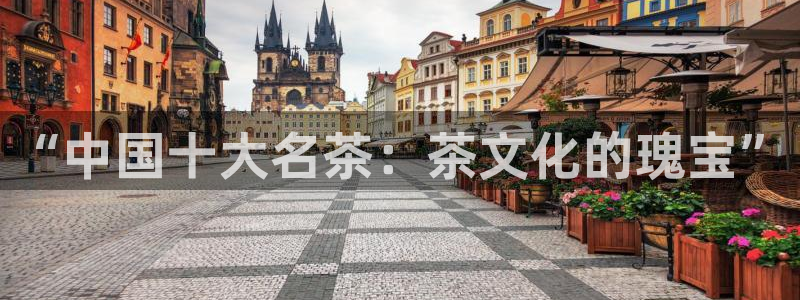 龙八国际官网网站