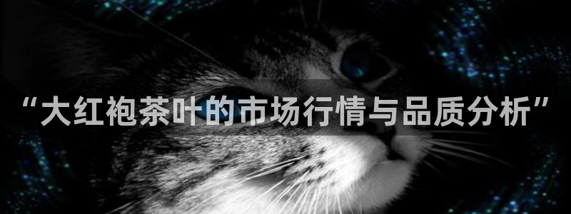 龙八国际登录网站