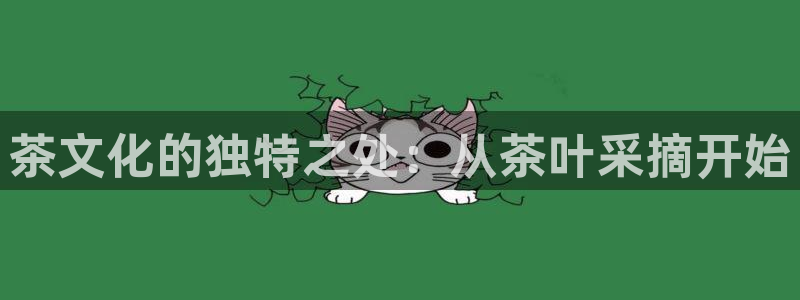 龙八国际app官方下载