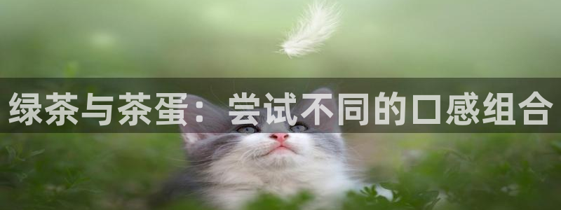 下载龙八国际手机端