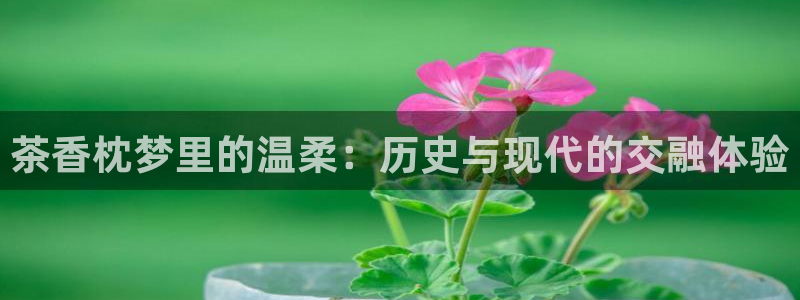 龙八国际官网首页