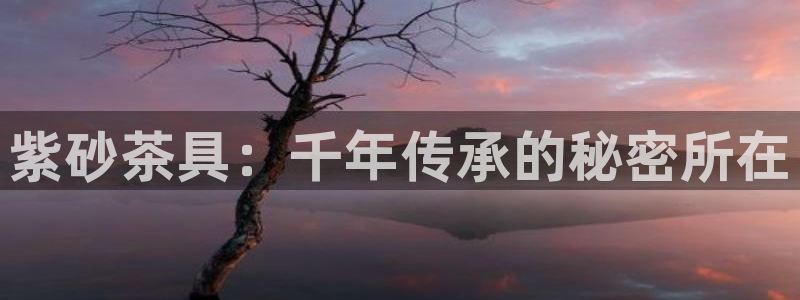 龙八国际是缅甸的吗