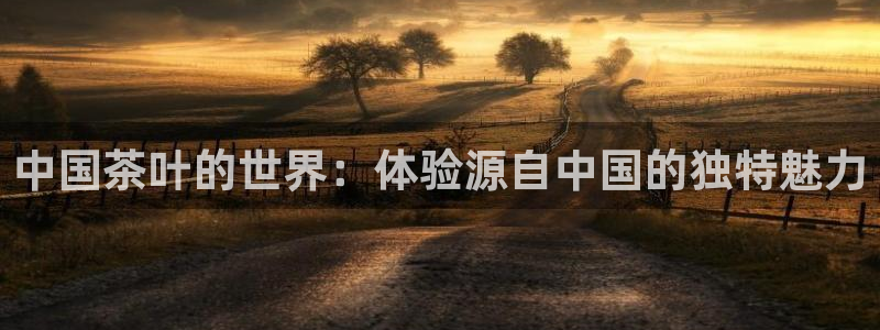 龙八国际手机端