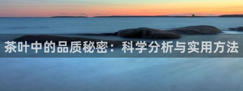 龙八国际手机网页版