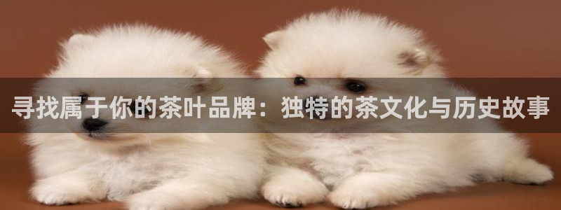 龙八国际相仿平台