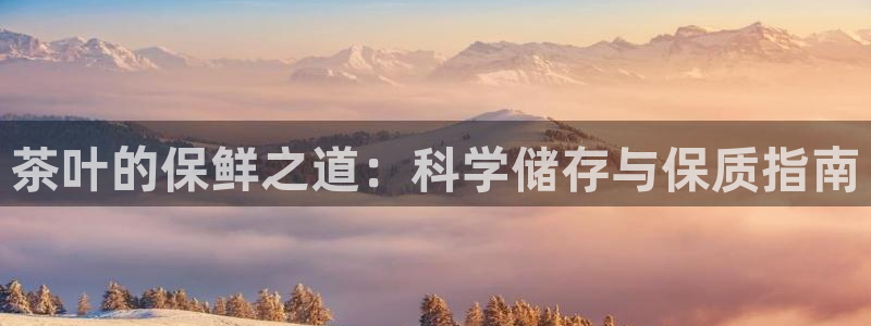 龙八国际电脑版下载