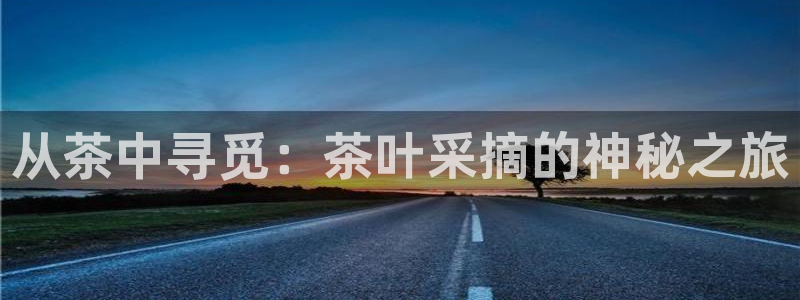 龙八国际app官网