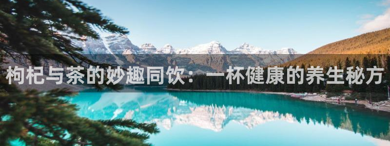 龙八国际pT娱乐官网