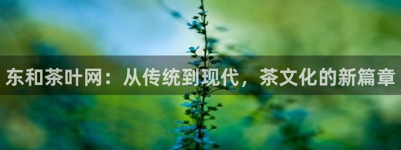 龙八国际手机版登录首页