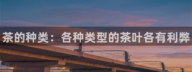 龙八国际APP客户