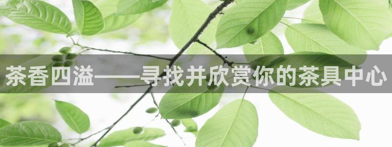龙八国际平台网站