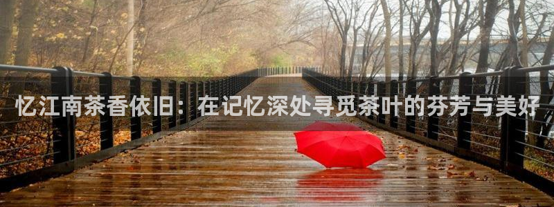 菲律宾的龙八国际输钱