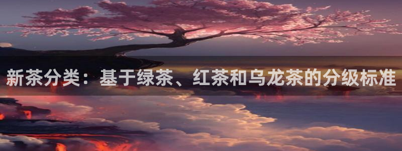 龙八国际客户端pt