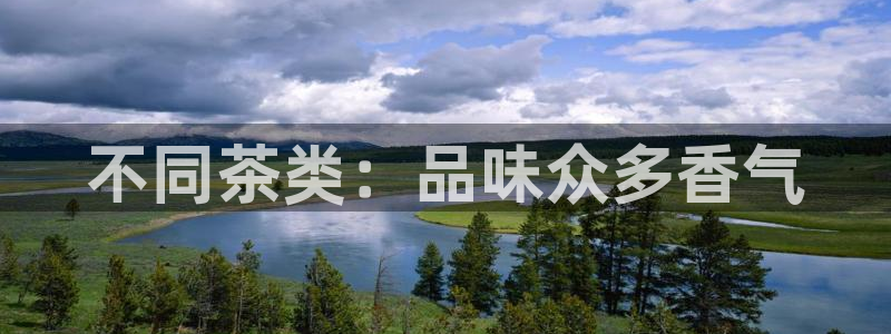 龙八国际在线下载