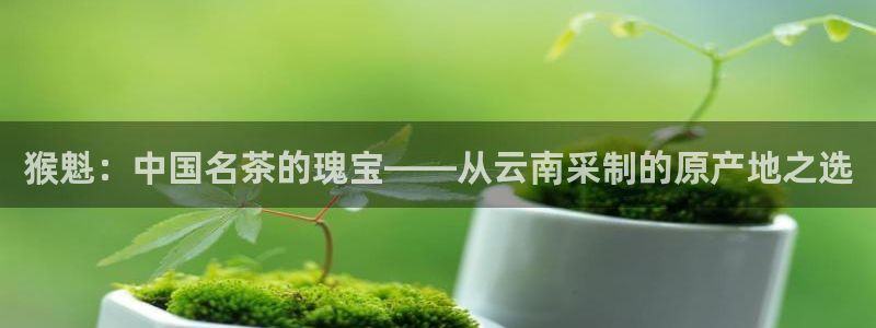 龙八国际手机版下载安卓