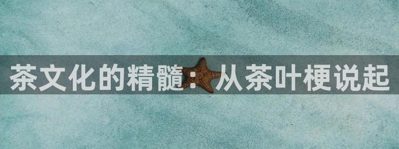 龙八国际手机客户端下载app