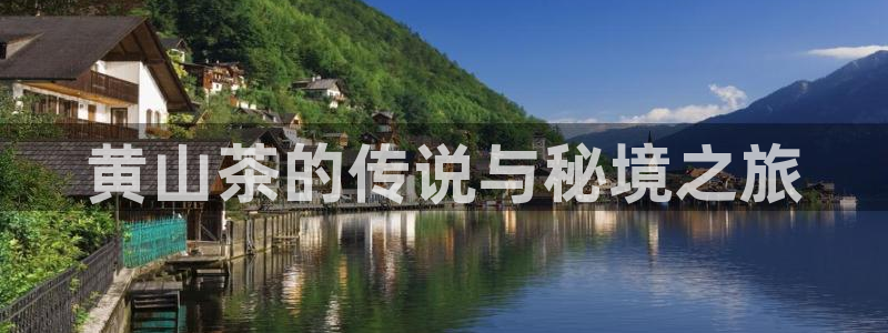 龙八国际官方首页