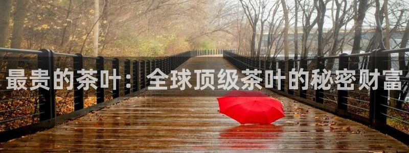 龙八国际客户端下载安装