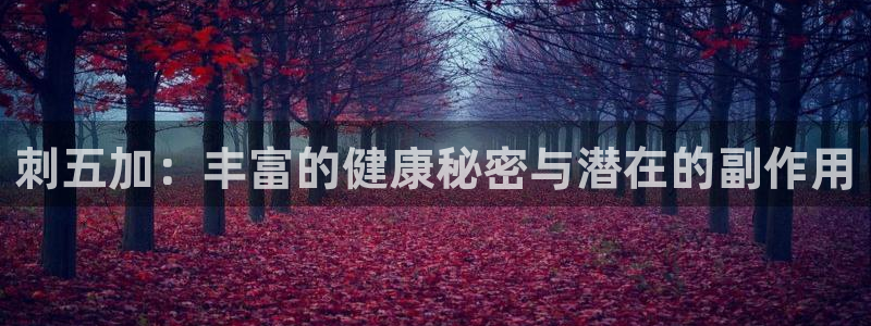 龙八国际电脑版下载